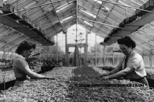 Land Army working in Valentines Park, Ilford in 1944, Doris Barker on left